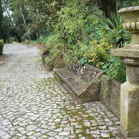 Quinta Do Convento Pensionat Vila Verde dos Francos